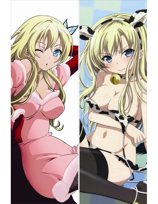 I Dont Have Many Friends - Sena Kashiwazaki Dakimakura kissen Billig Anime Kissenbezug Kaufen